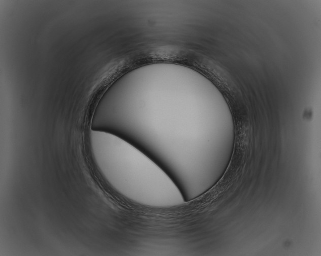 X0000097800738200803140736