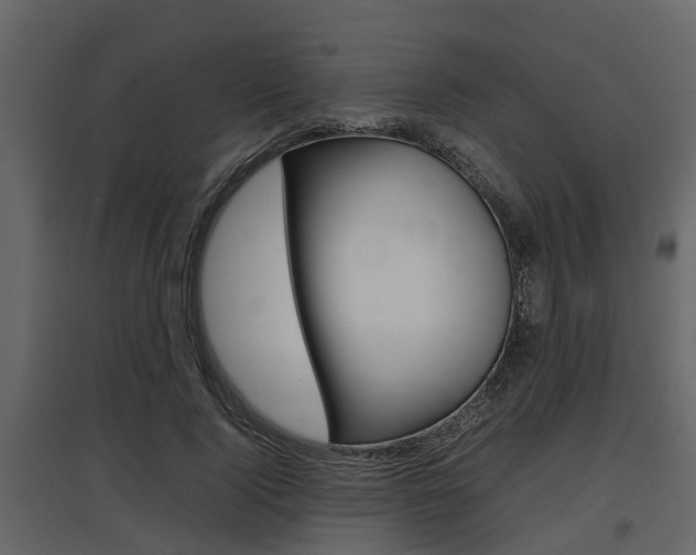 X0000097800740200803140736