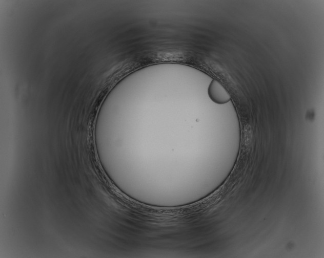 X0000097800741200803140736