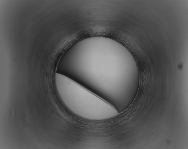 X0000097800742200803140736