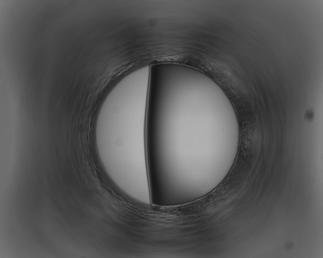 X0000097800743200803140736