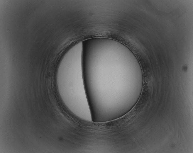 X0000097800744200803140736