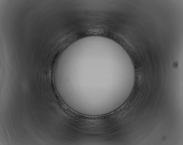 X0000097800745200803140736
