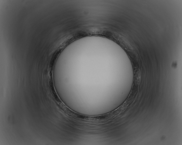 X0000097800746200803140736
