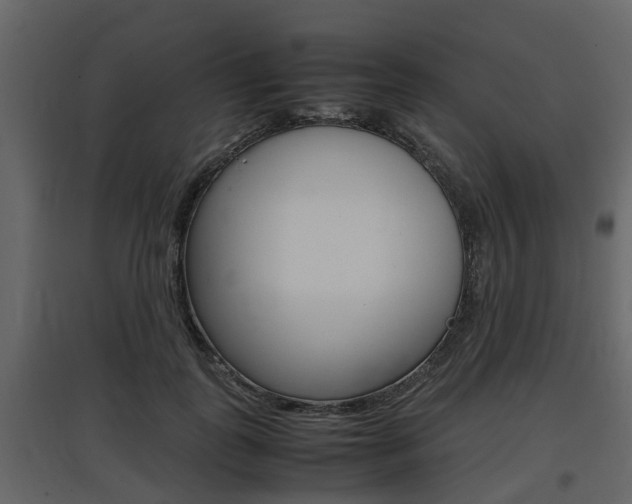 X0000097800747200803140736