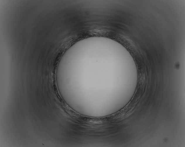 X0000097800749200803140736
