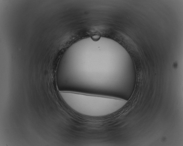 X0000097800751200803140736