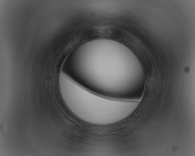 X0000097800752200803140736