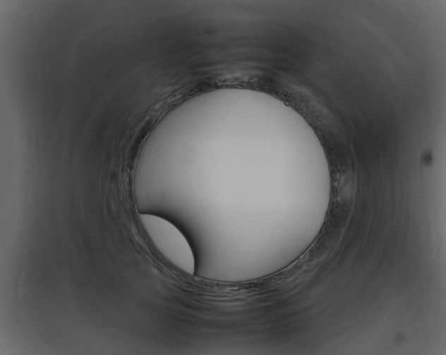 X0000097800753200803140736
