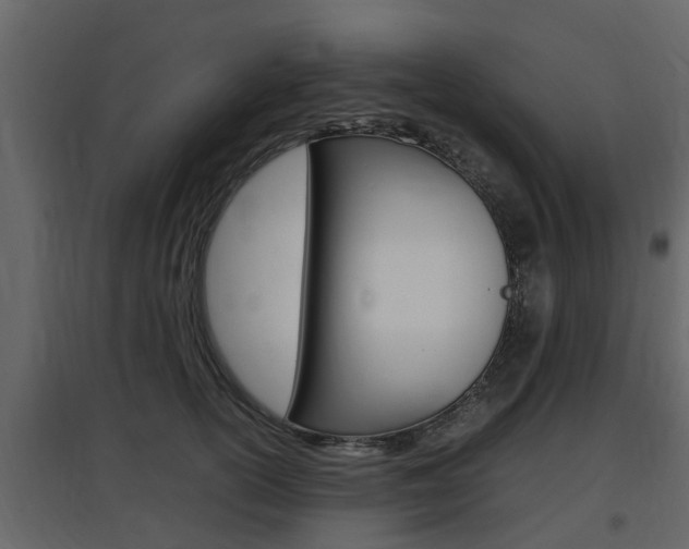 X0000097800754200803140736