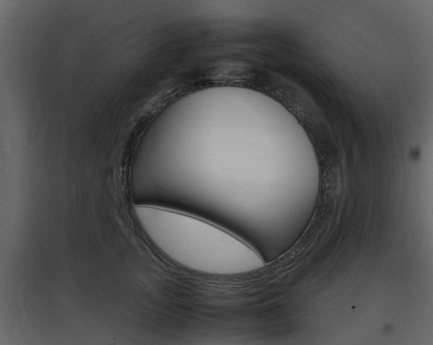 X0000097800755200803140736