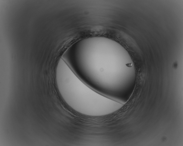 X0000097800756200803140736