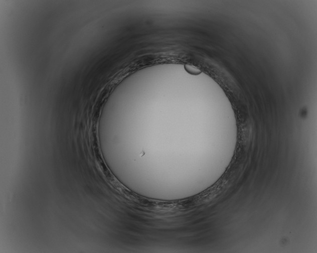 X0000097800757200803140736