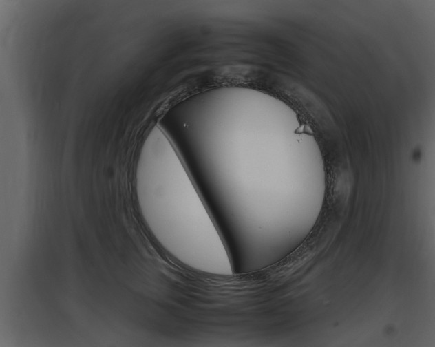X0000097800759200803140736
