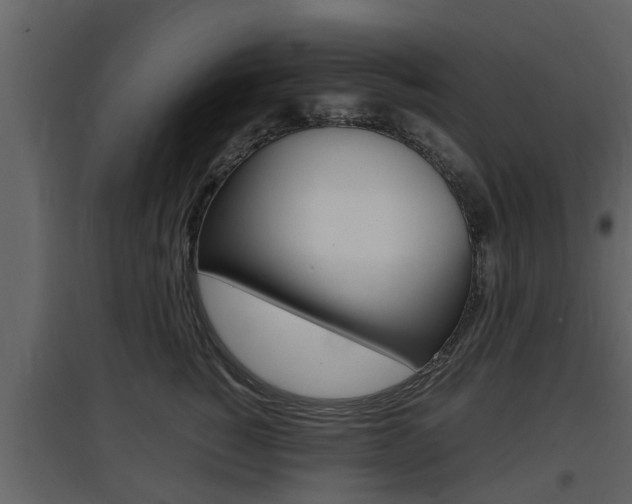 X0000097800760200803140736