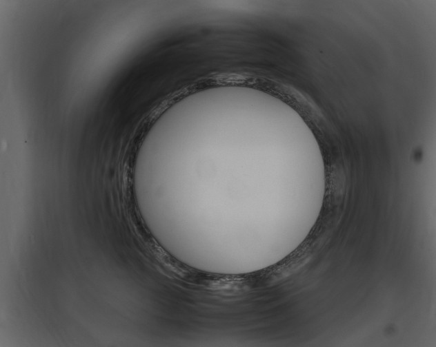 X0000097800761200803140736