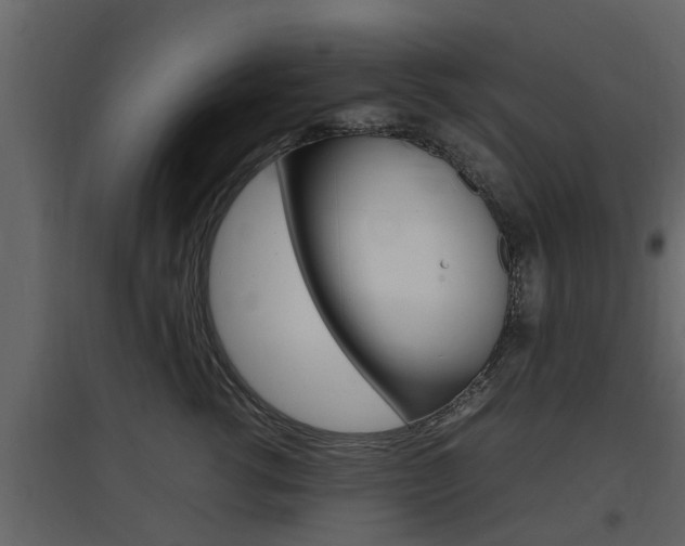X0000097800762200803140736