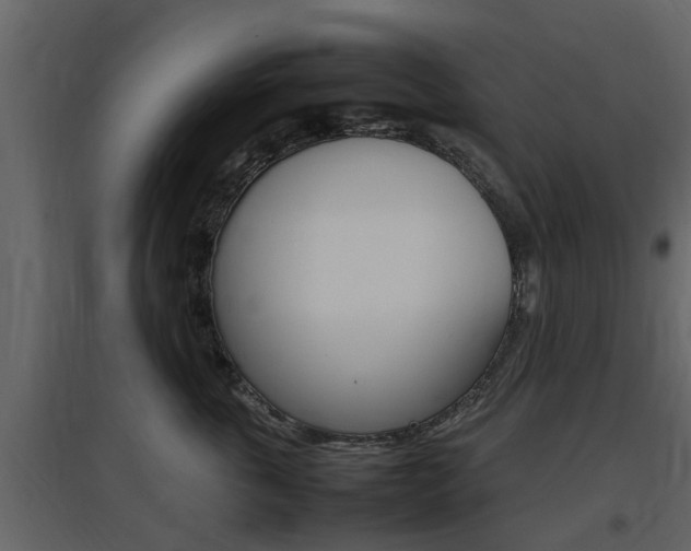 X0000097800763200803140736