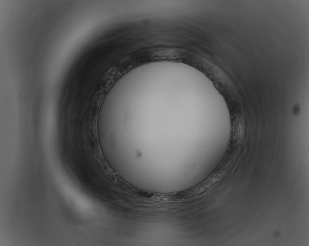 X0000097800764200803140736