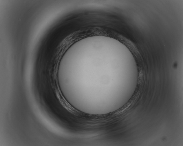 X0000097800765200803140736