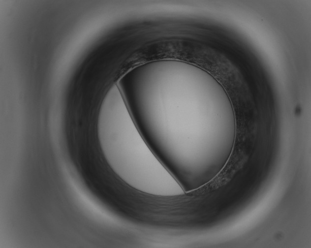 X0000097800766200803140736