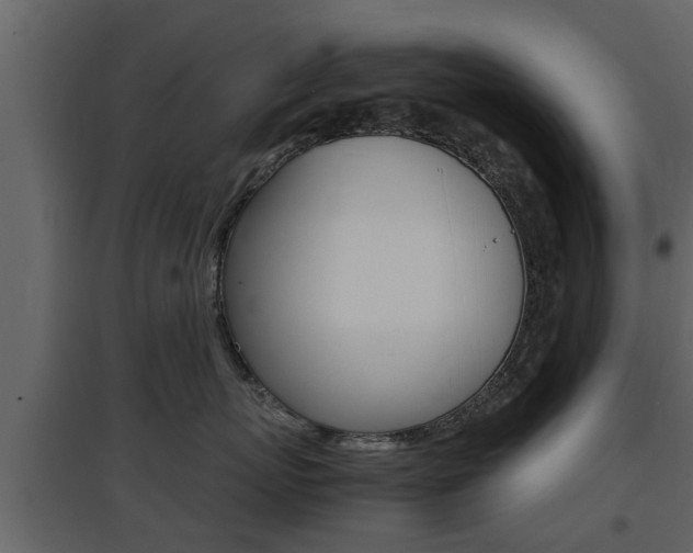 X0000097800767200803140736