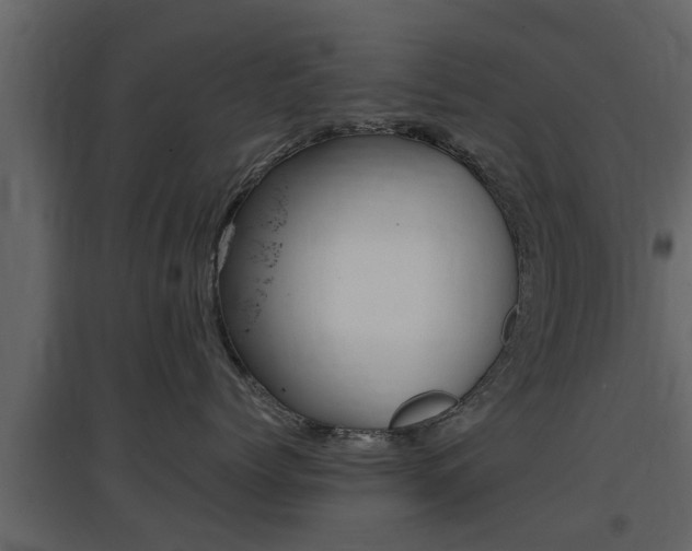 X0000097800768200803140736