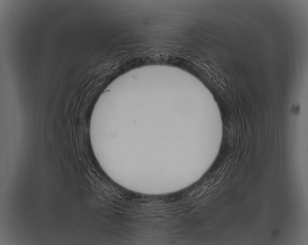 X0000097800769200803140735