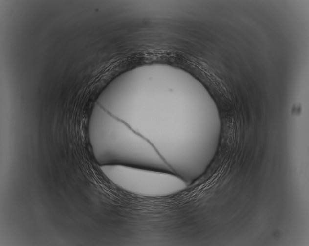 X0000097800770200803140735