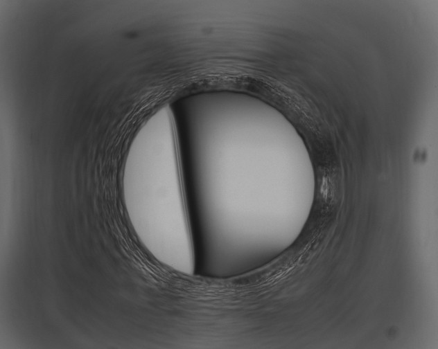 X0000097800771200803140735