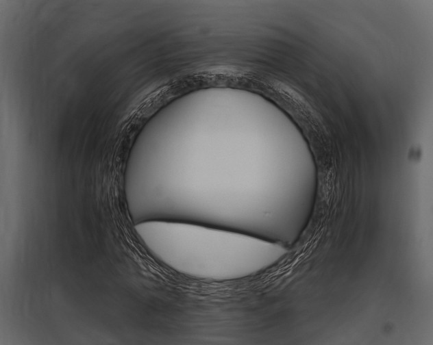X0000097800774200803140735