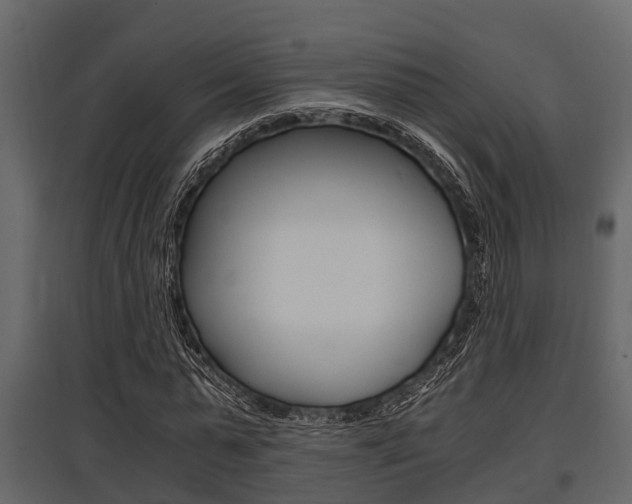 X0000097800775200803140735