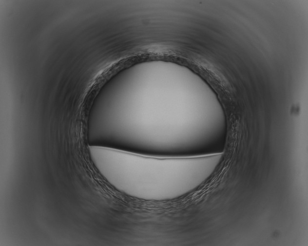 X0000097800776200803140735
