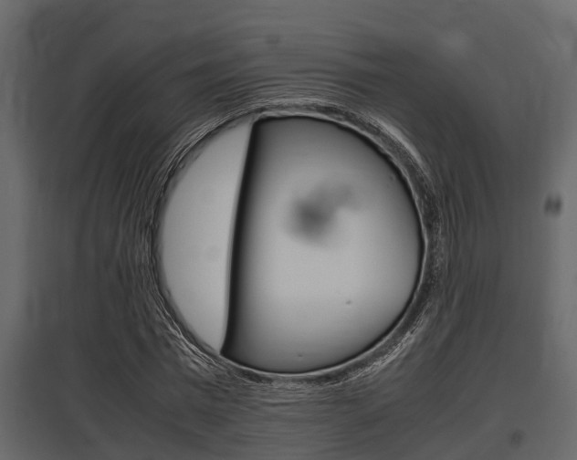 X0000097800777200803140735