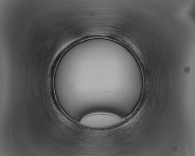X0000097800779200803140735