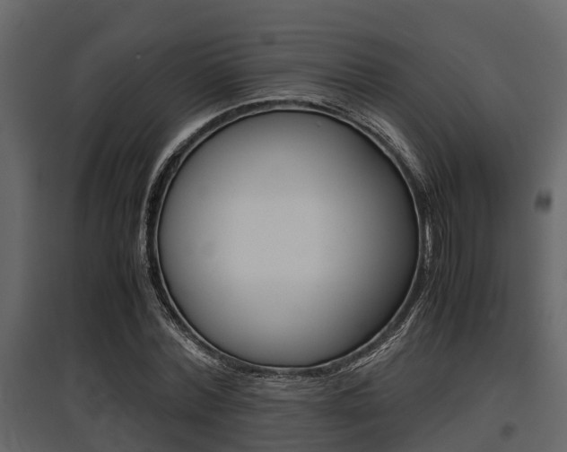 X0000097800780200803140735