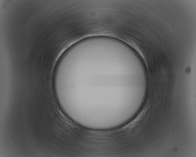 X0000097800781200803140735