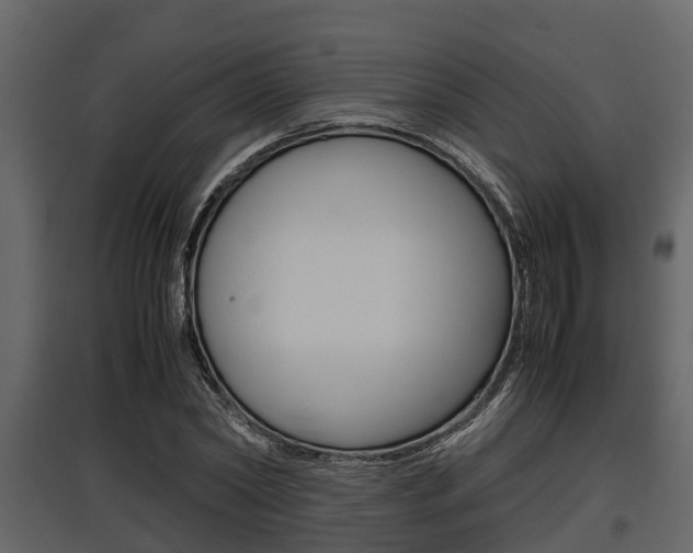 X0000097800782200803140735
