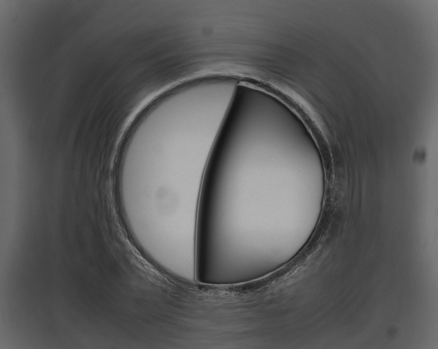 X0000097800783200803140735