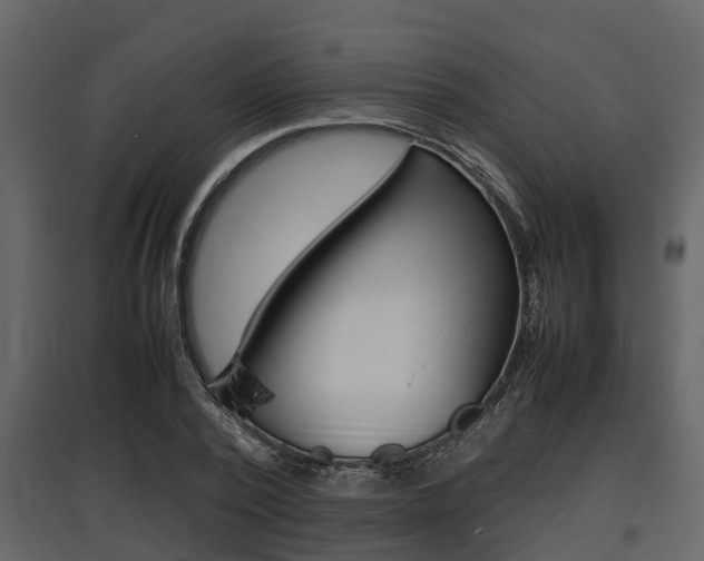 X0000097800784200803140735