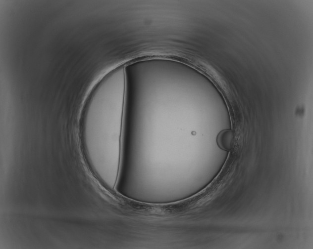 X0000097800787200803140735