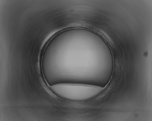 X0000097800788200803140735