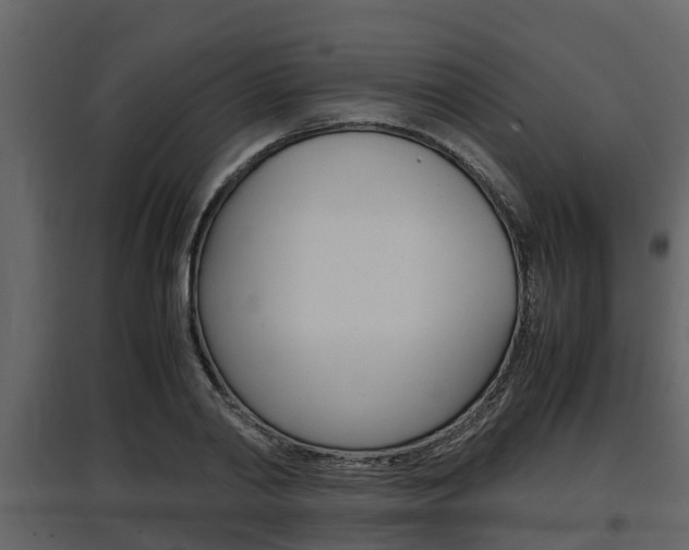 X0000097800790200803140735