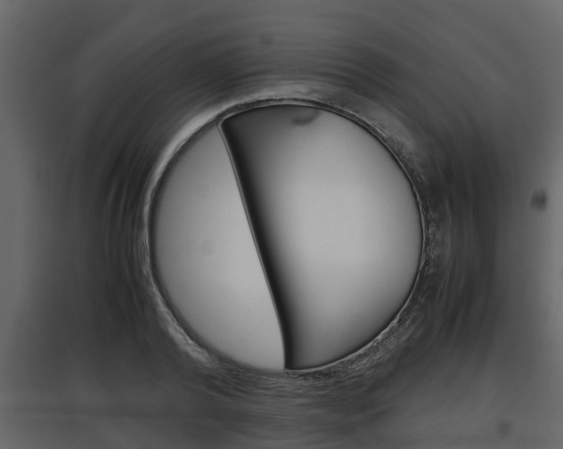 X0000097800792200803140735