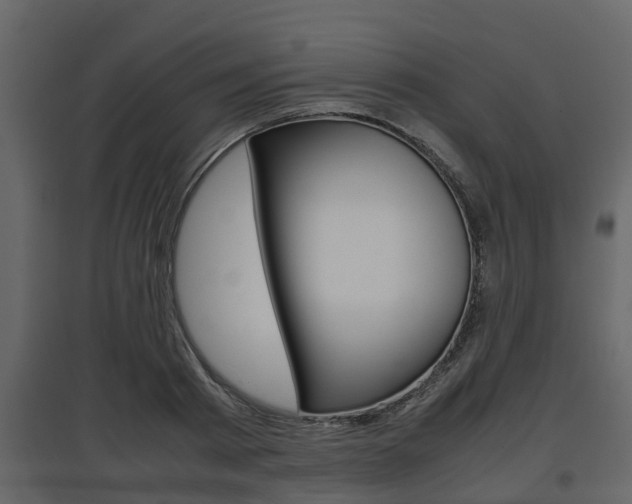 X0000097800793200803140735