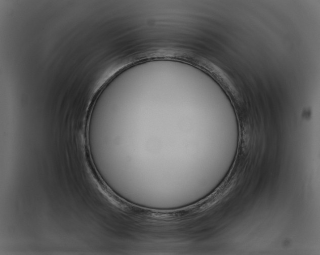X0000097800794200803140735