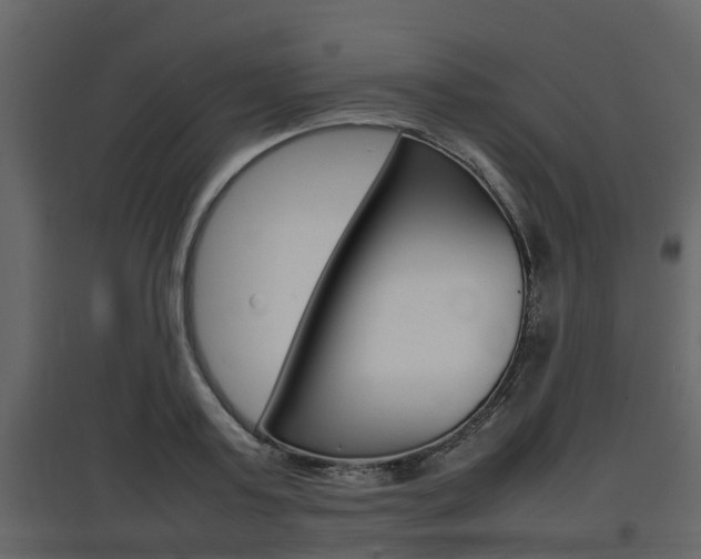 X0000097800795200803140735