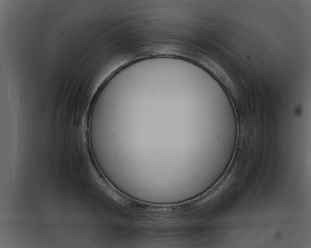 X0000097800798200803140735