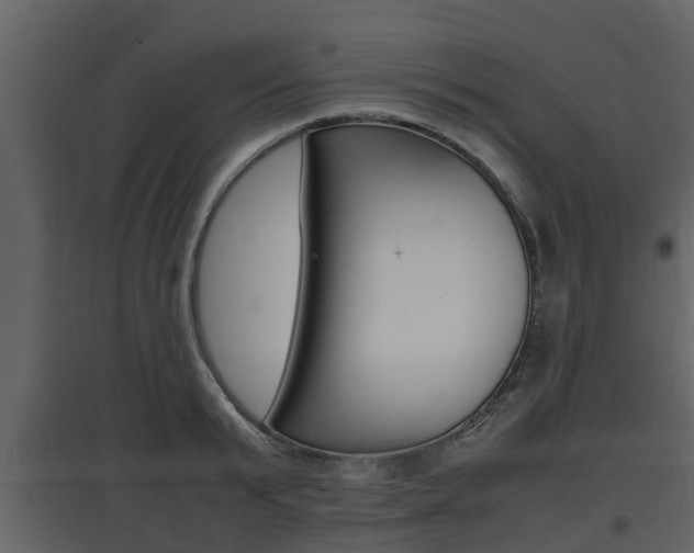 X0000097800799200803140735
