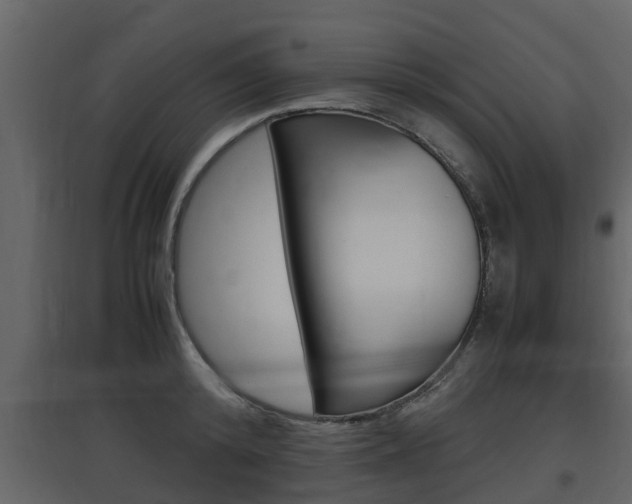 X0000097800800200803140735